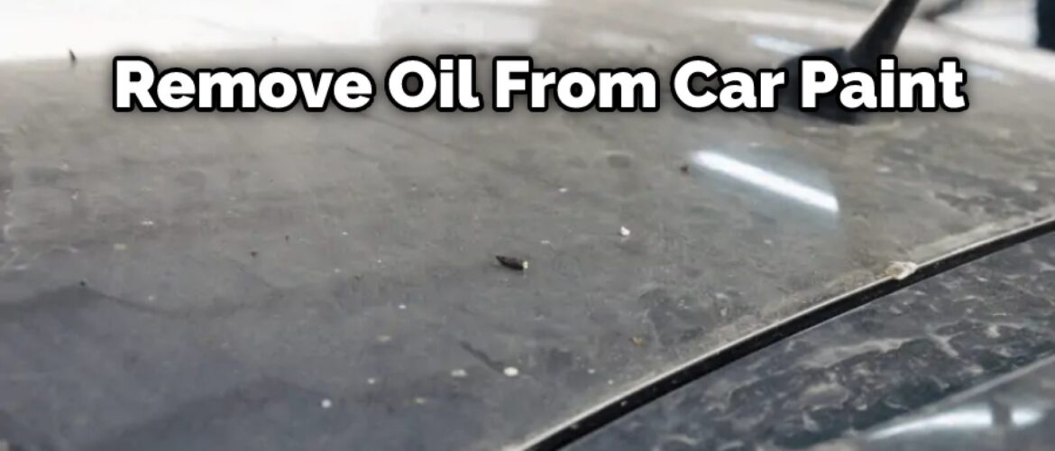 How to Remove Oil from Your Car in Ottawa, Ontario